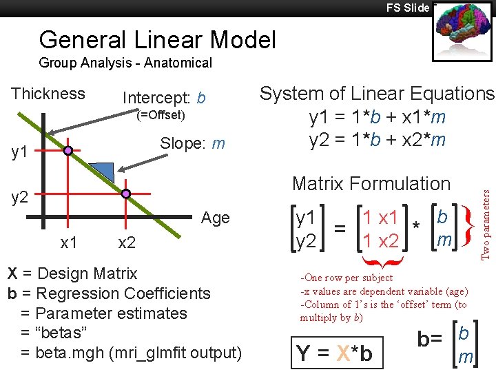 FS Slide * General Linear Model Group Analysis - Anatomical Intercept: b (=Offset) Slope: