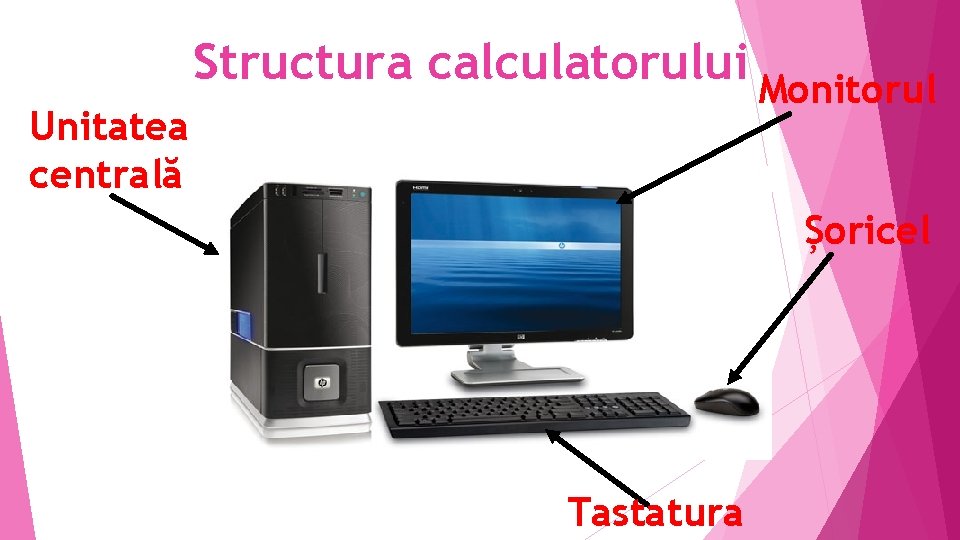 Unitatea centrală Structura calculatorului Monitorul Șoricel Tastatura Unitatea centrală Structura calculatorului Monitorul Șoricel Tastatura