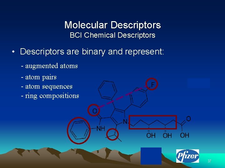 Molecular Descriptors BCI Chemical Descriptors • Descriptors are binary and represent: - augmented atoms