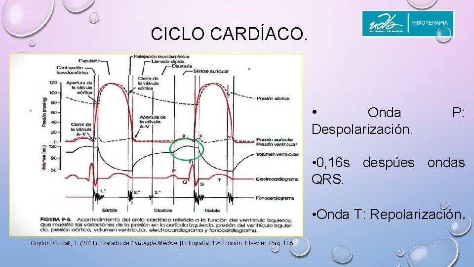 CICLO CARDÍACO. • Onda Despolarización. P: • 0, 16 s despúes ondas QRS. •