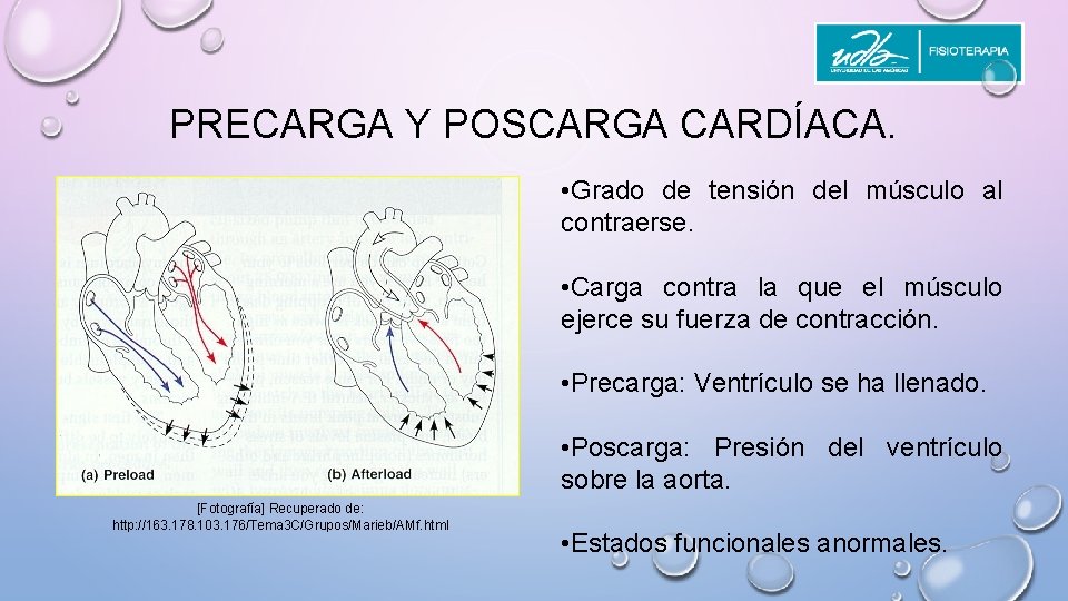 PRECARGA Y POSCARGA CARDÍACA. • Grado de tensión del músculo al contraerse. • Carga