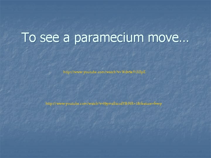 To see a paramecium move… http: //www. youtube. com/watch? v=Wdv 9 e. Yt. XSp.