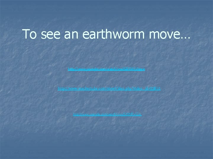 To see an earthworm move… http: //www. youtube. com/watch? v=o. H 8 NMYi 7