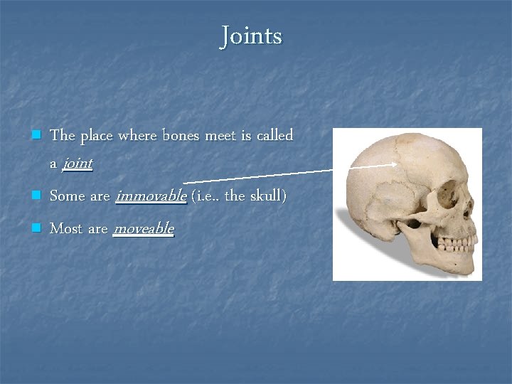 Joints n n n The place where bones meet is called a joint Some