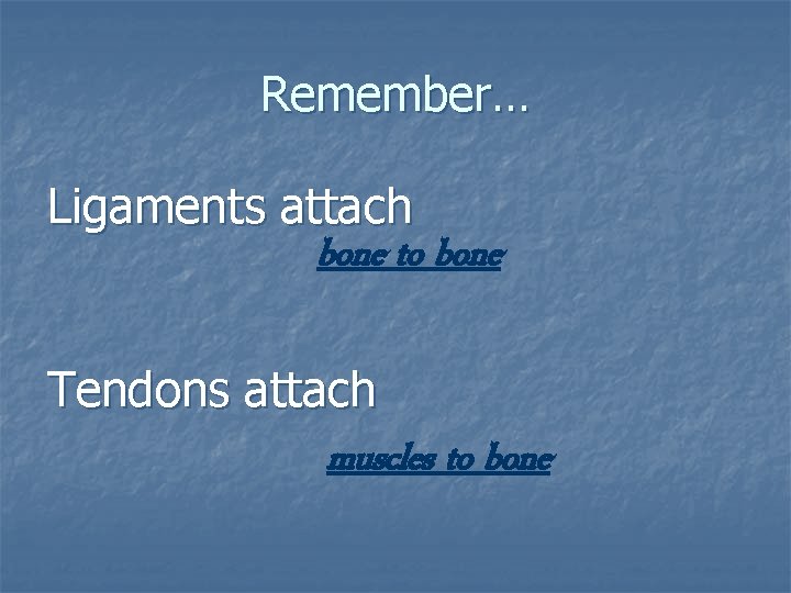 Remember… Ligaments attach bone to bone Tendons attach muscles to bone 