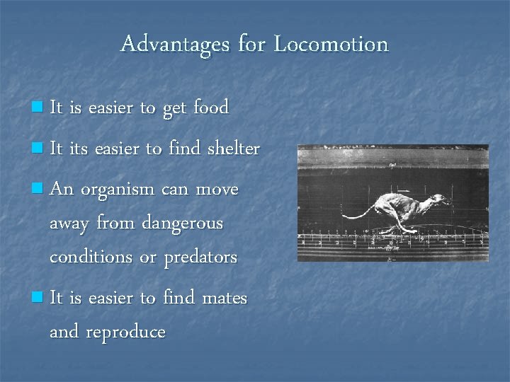 Advantages for Locomotion n It is easier to get food n It its easier