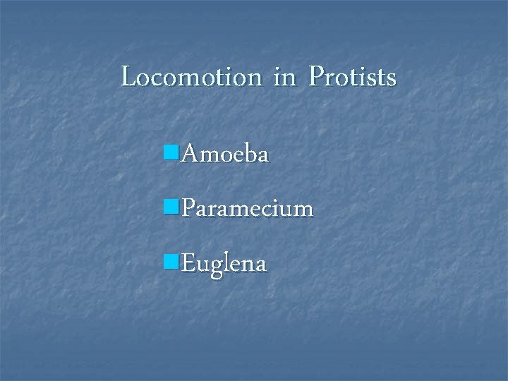 Locomotion in Protists n. Amoeba n. Paramecium n. Euglena 