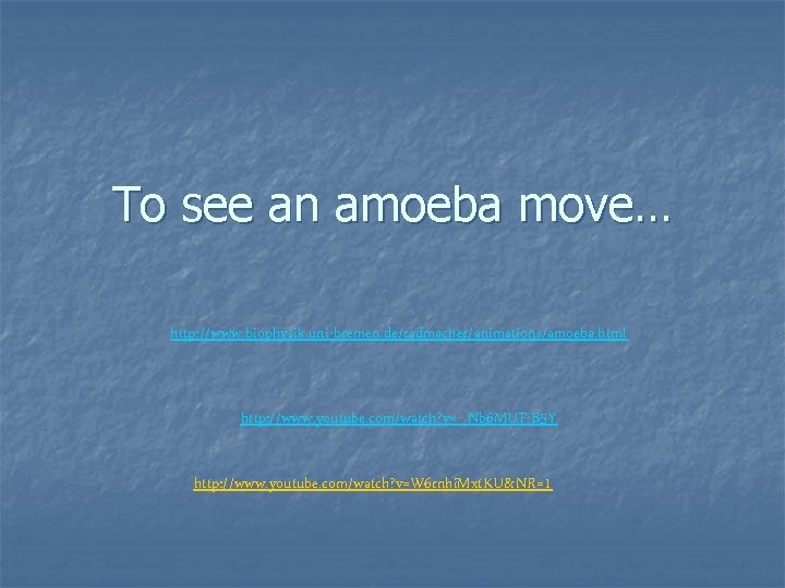 To see an amoeba move… http: //www. biophysik. uni-bremen. de/radmacher/animations/amoeba. html http: //www. youtube.