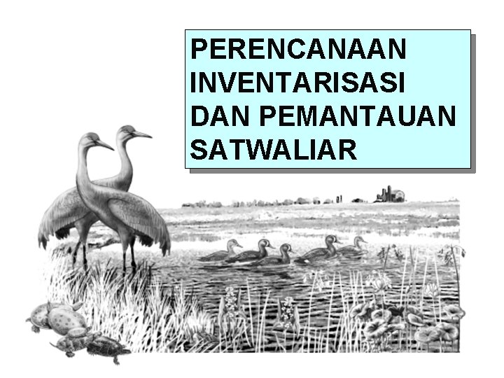 PERENCANAAN INVENTARISASI DAN PEMANTAUAN SATWALIAR 