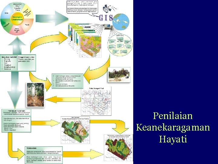 Penilaian Keanekaragaman Hayati 