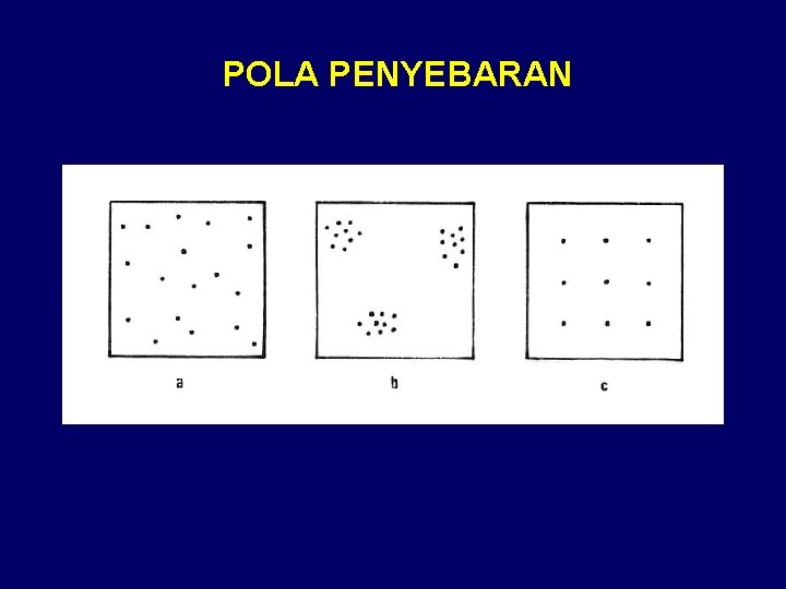  POLA PENYEBARAN 