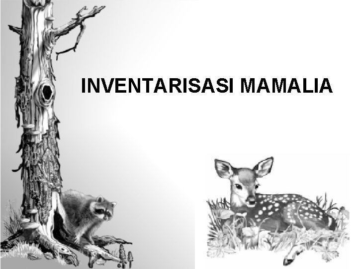 INVENTARISASI MAMALIA 