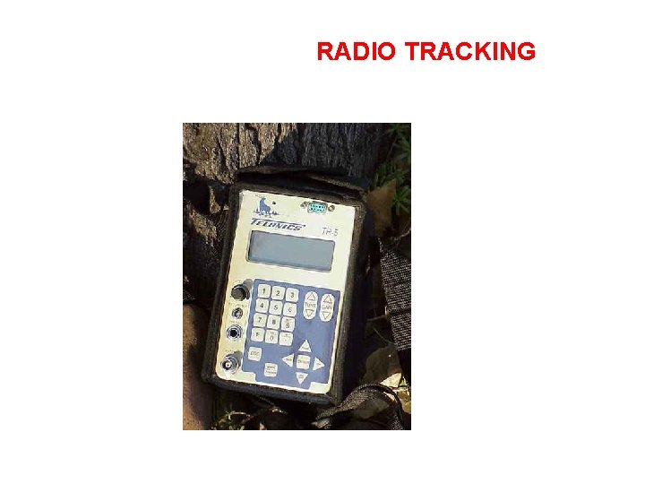 RADIO TRACKING 