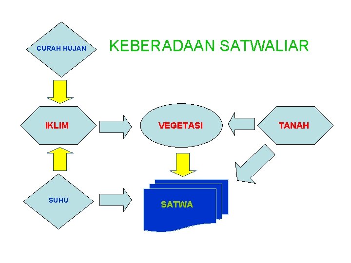 CURAH HUJAN IKLIM SUHU KEBERADAAN SATWALIAR VEGETASI SATWA TANAH 