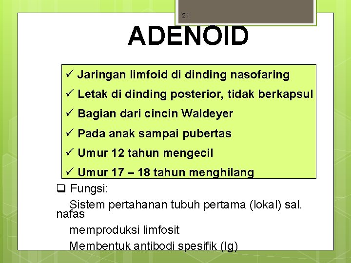 21 ADENOID ü Jaringan limfoid di dinding nasofaring ü Letak di dinding posterior, tidak 21 ADENOID ü Jaringan limfoid di dinding nasofaring ü Letak di dinding posterior, tidak