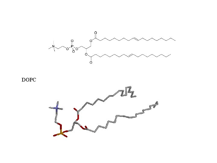 DOPC 