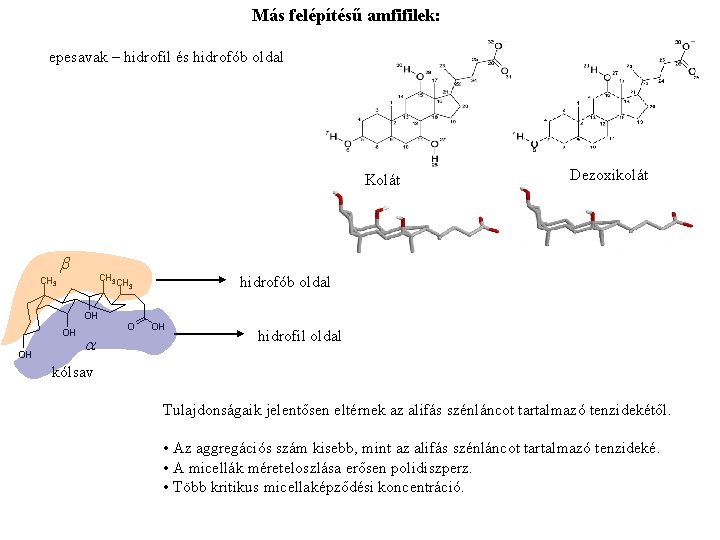 Más felépítésű amfifilek: epesavak – hidrofil és hidrofób oldal Kolát b CH 3 CH