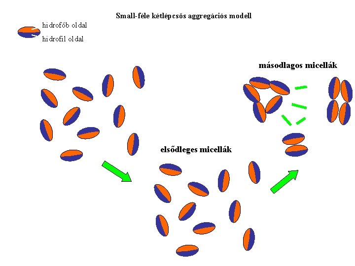 Small-féle kétlépcsős aggregációs modell hidrofób oldal hidrofil oldal másodlagos micellák elsődleges micellák 