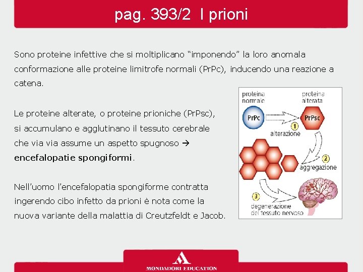 pag. 393/2 I prioni Sono proteine infettive che si moltiplicano “imponendo” la loro anomala