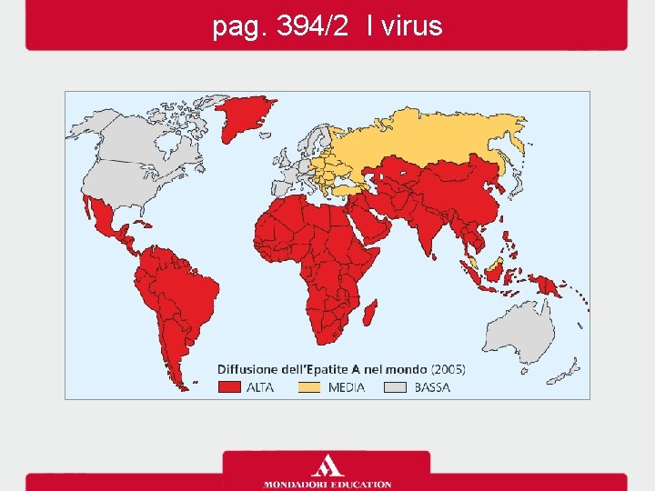 pag. 394/2 I virus 