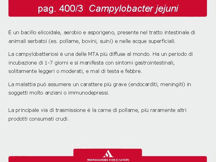 pag. 400/3 Campylobacter jejuni È un bacillo elicoidale, aerobio e asporigeno, presente nel tratto