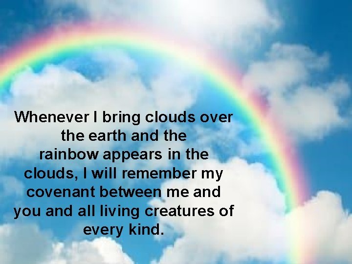 Whenever I bring clouds over the earth and the rainbow appears in the clouds,