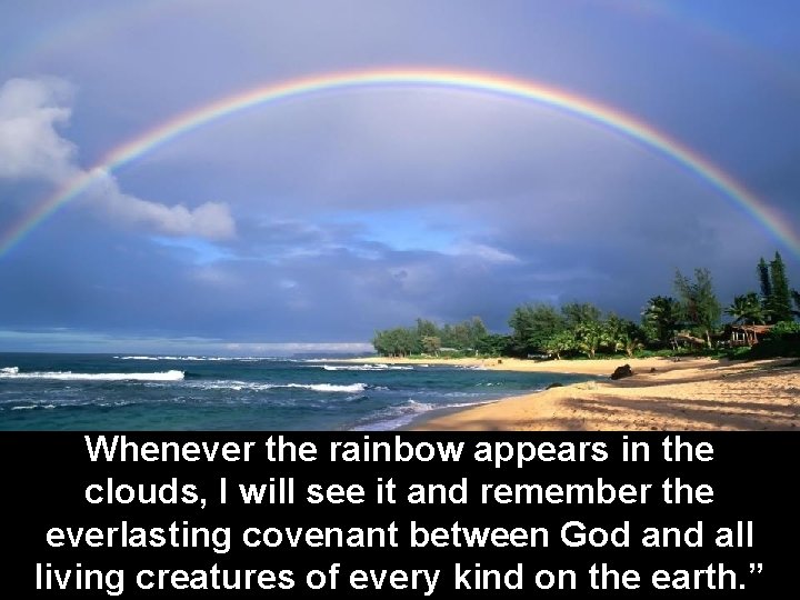 Whenever the rainbow appears in the clouds, I will see it and remember the
