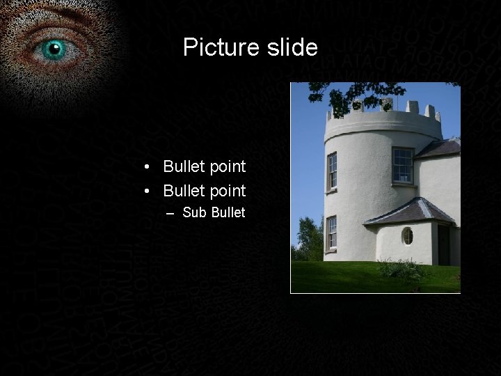 Picture slide • Bullet point – Sub Bullet 