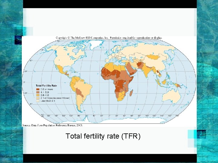 Total fertility rate (TFR) 