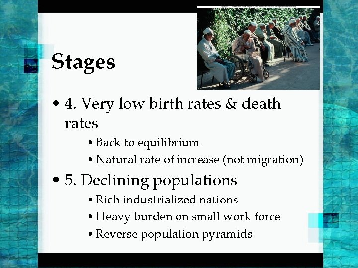 Stages • 4. Very low birth rates & death rates • Back to equilibrium
