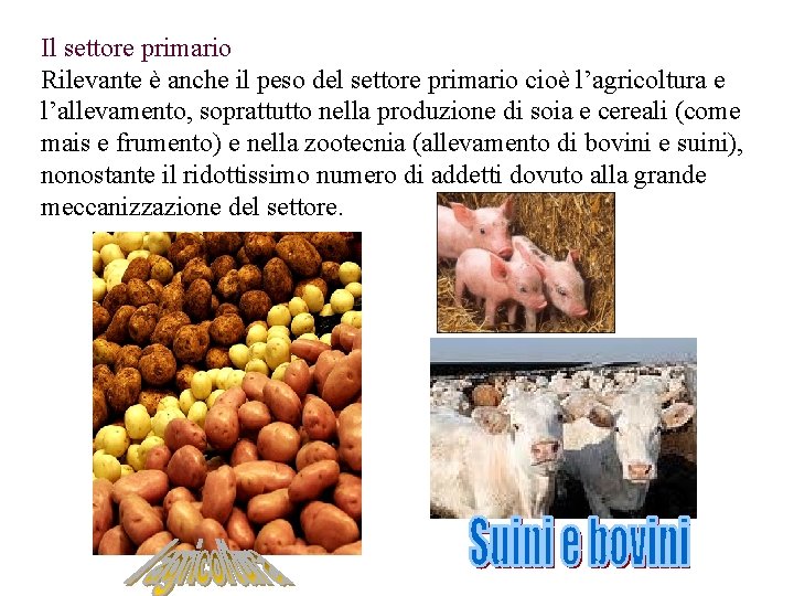 Il settore primario Rilevante è anche il peso del settore primario cioè l’agricoltura e Il settore primario Rilevante è anche il peso del settore primario cioè l’agricoltura e