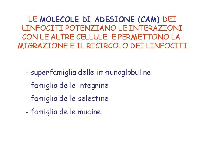 LE MOLECOLE DI ADESIONE (CAM) DEI LINFOCITI POTENZIANO LE INTERAZIONI CON LE ALTRE CELLULE