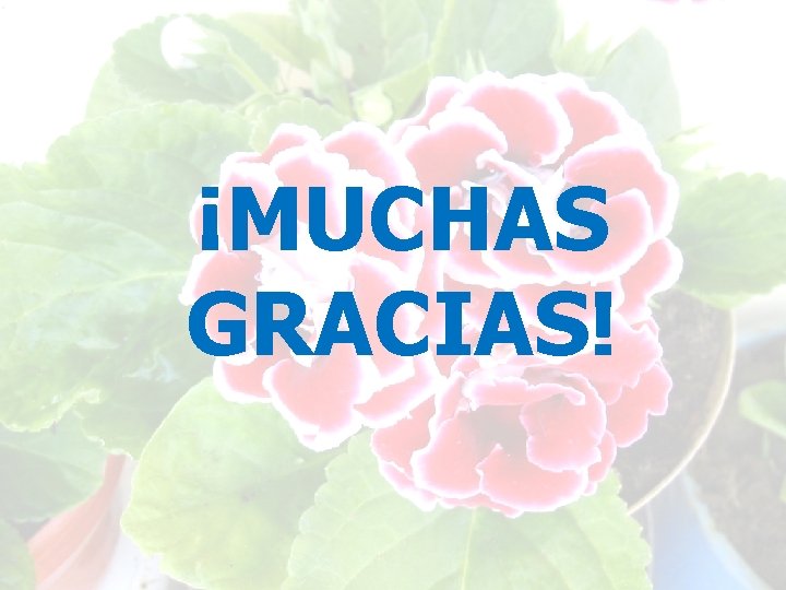 ¡MUCHAS GRACIAS! 