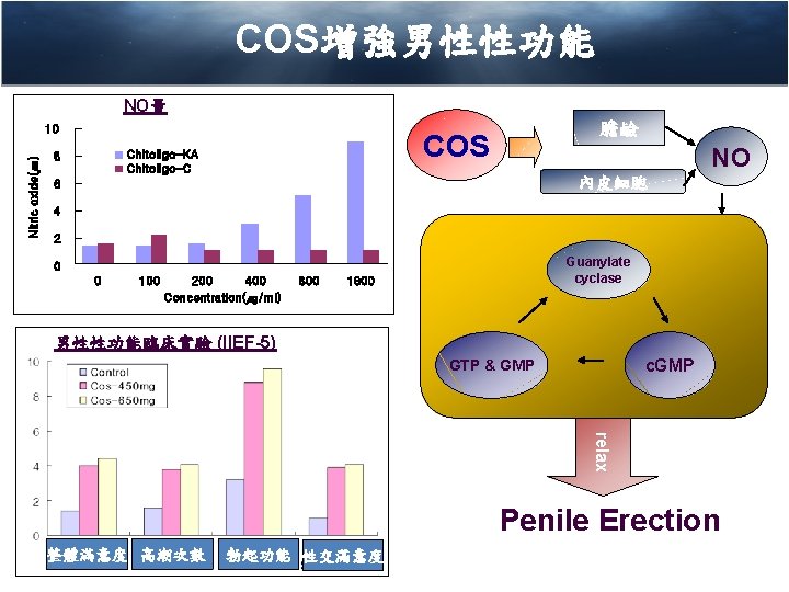 COS增強男性性功能 The effect of COS on the improvement of sexual ability NO量 Nitric oxide(㎛)
