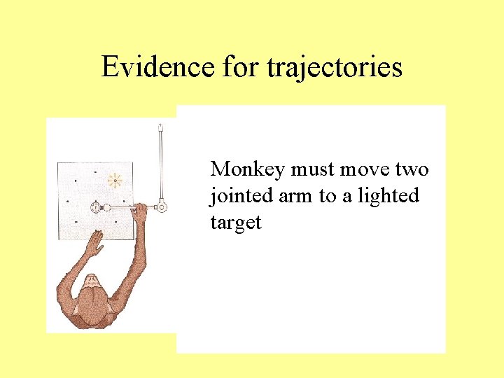 Evidence for trajectories Monkey must move two jointed arm to a lighted target 