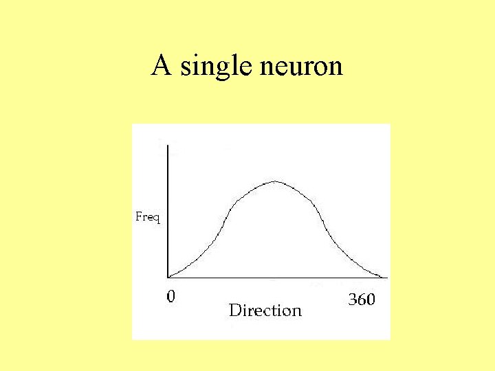 A single neuron 