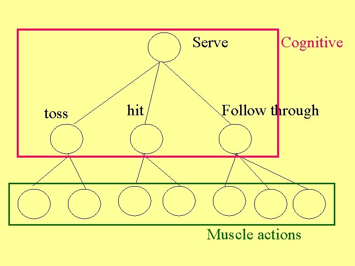 Serve toss hit Cognitive Follow through Muscle actions 