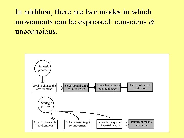 In addition, there are two modes in which movements can be expressed: conscious &