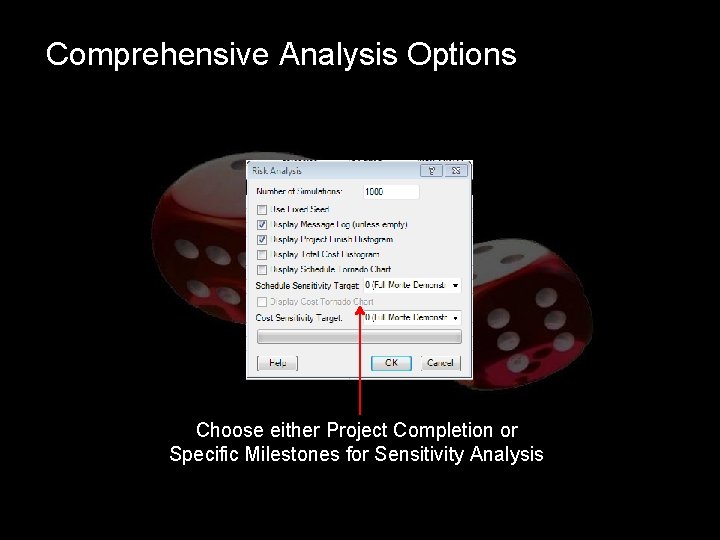 Comprehensive Analysis Options Choose either Project Completion or Specific Milestones for Sensitivity Analysis 