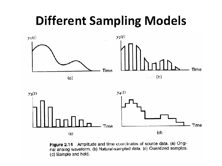 Different Sampling Models 