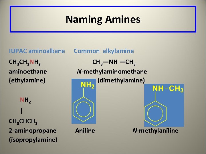 Naming Amines IUPAC aminoalkane CH 3 CH 2 NH 2 aminoethane (ethylamine) Common alkylamine