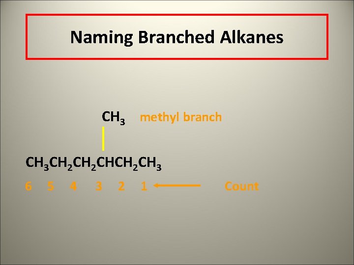 Naming Branched Alkanes CH 3 methyl branch CH 3 CH 2 CHCH 2 CH