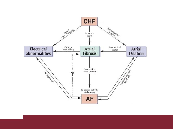 Congestive Heart Failure 26/11/2020 Pagina 18 