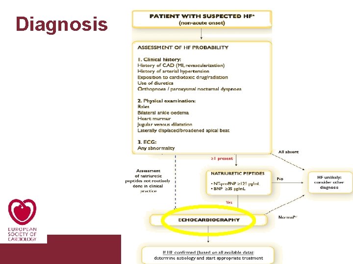 Diagnosis Congestive Heart Failure 26/11/2020 Pagina 24 