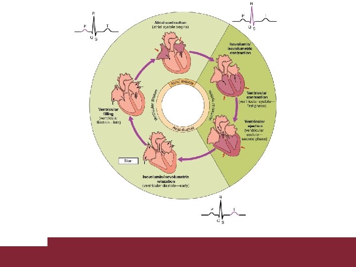 Congestive Heart Failure 26/11/2020 Pagina 28 