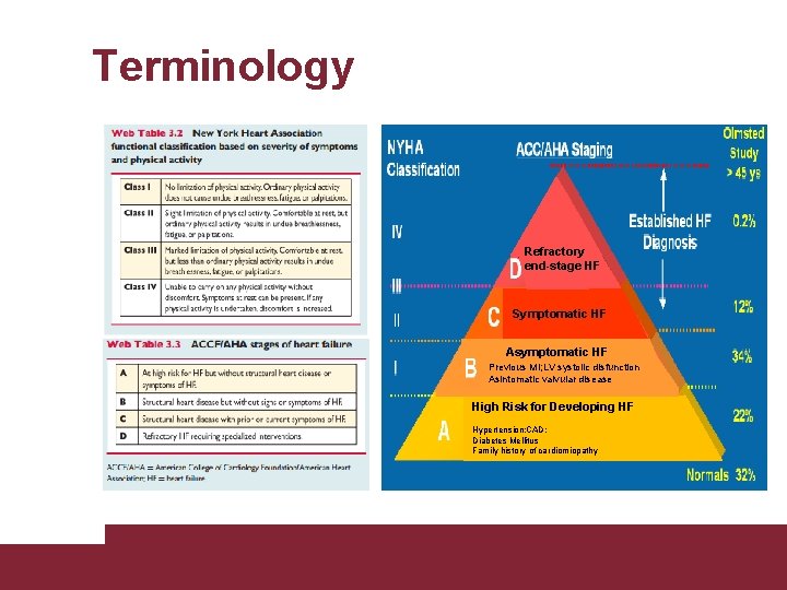 Terminology Refractory end-stage HF Symptomatic HF Asymptomatic HF Previous MI; LV systolic disfunction; Asintomatic