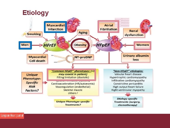 Etiology Congestive Heart Failure 26/11/2020 Pagina 9 