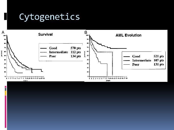 Cytogenetics 