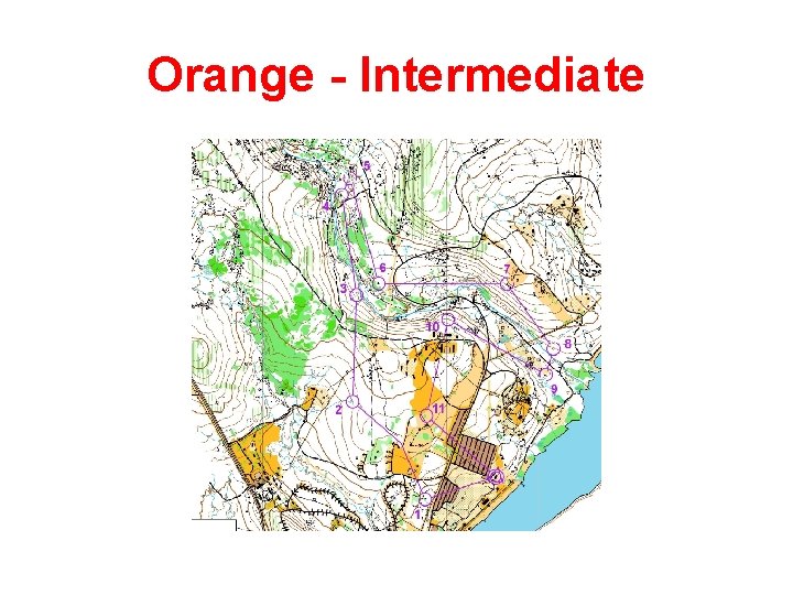 Orange - Intermediate Orange - Intermediate