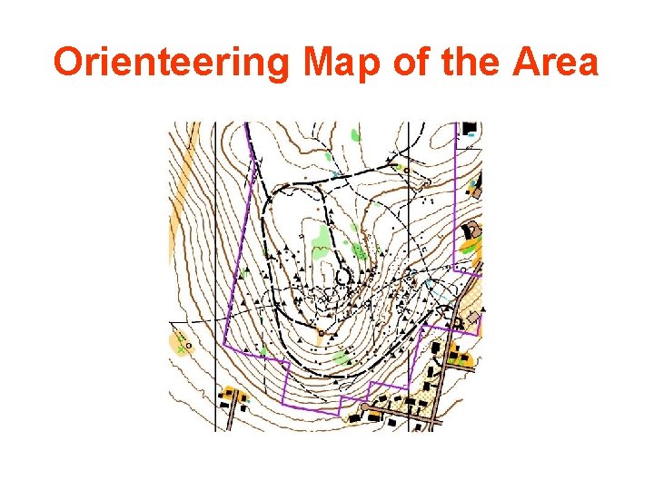 Orienteering Map of the Area Orienteering Map of the Area